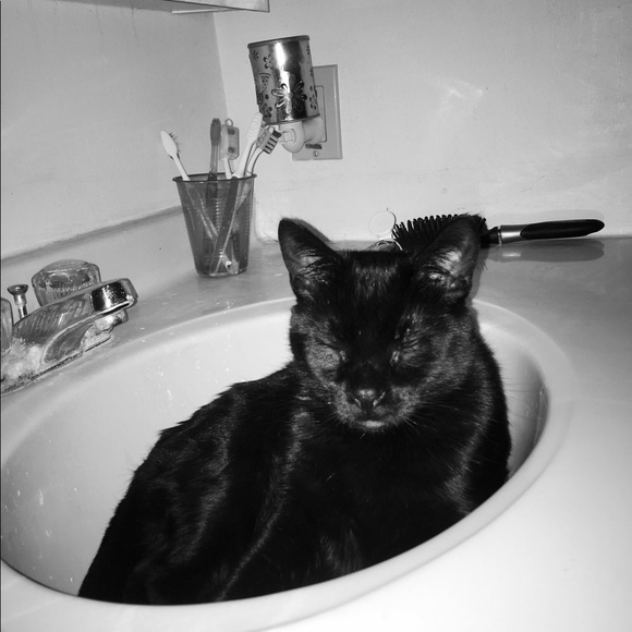 Meet your Posh Ambassador, Jenna R GG R Grandma! All Customers R Loved By Me ❤️ - Picture 15 of 17